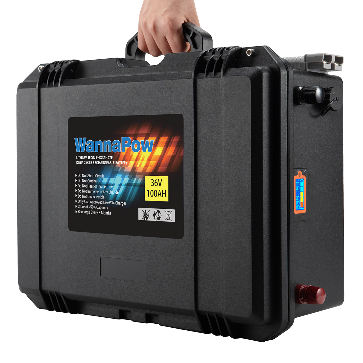 36V 100Ah LiFePO4 Battery,100A BMS,3840Wh Energy