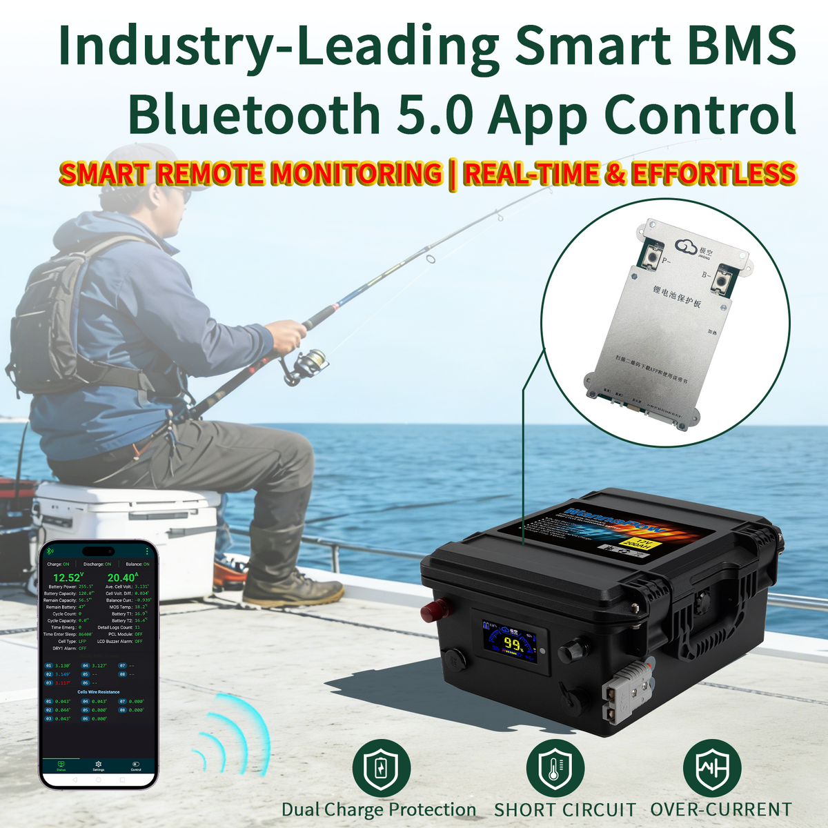 12V 200AH LiFePO4 Battery,200A BMS,Marine Battery